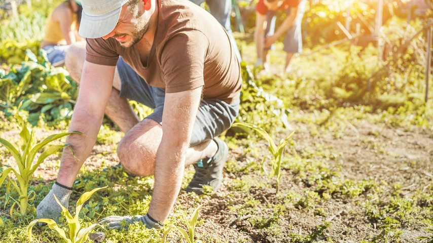 Gardening people